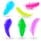 Twirled realistic feathers isolated on a transparent background. Easy style, can be used in flyers, banners, a web. Elements for d