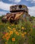 A twisted and battered tank sits surrounded by a vibrant array of wildflowers a sign that life carries on even Abandoned