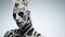 Twisted Futurism: A Striking Uhd Image Of A Skeleton With White Hair