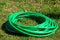 A twisted green reinforced hose for watering lies on the grass . Leningrad region.Russia