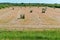 Twisted hay in the field, bundles of hay rolls on the farmland