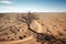 Twisted Tree in Arid Desert Landscape