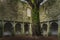 Twisted tree trunk in inner courtyard of 15th century monastery Muckross Abbey