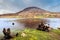 Twisted tree trunks submerged in Dunlewy lake with view at Errigal mountain