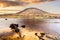 Twisted tree trunks submerged in Dunlewy lake with view at Errigal mountain in dramatic sunset