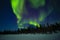 Twisting Aurora Borealis Lights in Midnight Blue Sky over Forest