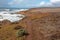 Twisting Bluff Trail at Fiscalini Ranch Preserve on the Rugged Central California coastline at Cambria California United States