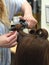 Twisting strands on the curling in beauty salon