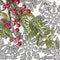 Twiter with holly berries on the silver snowflakes