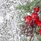 Twiter with holly berries on the silver snowflakes