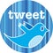 Twitter Badge