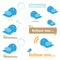 Twitter bird icons