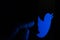 Twitter company logo on the smartphone screen in a dark room and a finger targeting