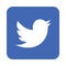 Twitter logo icon