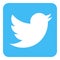 Twitter logo icon