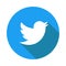 Twitter logo icon with bird. Clean vector symbol. Social media sign.