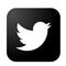 Twitter logo icon bird vector element in black on white background
