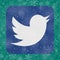 Twitter logo icon with snowflakes