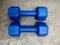 Two 1.5 kg dumbbell barbells