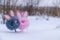 Two abstract rabbit toys on the snow