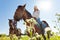 Two active young women training riding horses