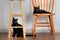 Two adorable black cats lounging on orange chair and under bar stool eyes open looking at camera