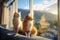 Two adorable cats enjoying watching view from window, pet friendly hotel and resort business concept. Generative AI