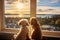 Two adorable dogs enjoying watching view from window, pet friendly hotel and resort business concept. Generative AI