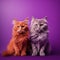 Two adorable felines sitting side-by-side on a vibrant purple background