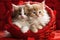 Two adorable kittens are calmly seated inside a red basket against a clean white background, Adorable kittens cuddling in a heart-