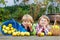 Two adorable little sibling kids eating apples in home\'s garden,