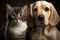 Two adorable pets - cat and dog - snuggled up together in a sweet display of friendship. Generative AI
