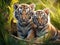 Two adorable tiger cubs outdoors