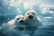 two adorable white baby harp seals