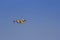 Two aeroplanes canadair blue sky