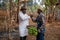 Two African farmers shake hands after they exchanged a bunch of plantain bananas in the plantation, businessmen at work