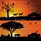 Two african landscapes at sunset, with a girl with binoculars, impalas, lions and birds