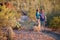 Two Afternoon Hikers on Rugged Desert Trail