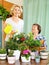 Two aged women taking care of domestic plants