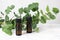 Two amber bottles of eucalyptus essential oil and fresh eucalyptus leaves on marble table. Natural cosmetic ingredients