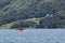 Two Amphibious seaplanes landing on Lake Casitas, Ojai, California