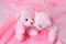 Two amusing pink teddy bear on pink