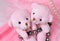 Two amusing pink teddy bear on pink background with pearls