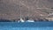 Two anchored sailboats near a rocky coast