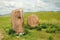 Two ancient stone menhirs standing in the endless steppe