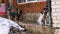 Two Angry Little Guard Dogs on a Chain Behind the Fence on the Backyard Barks at People in Winter