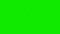 Two Annoying flies on a Green Screen Background