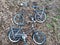 Two antique miniature bicycles classic parked on dead and yellowed grass