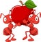 Two ants cartoon holding red apple