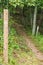 Two Appalachian Trail Signs on the Blue Ridge Parkway